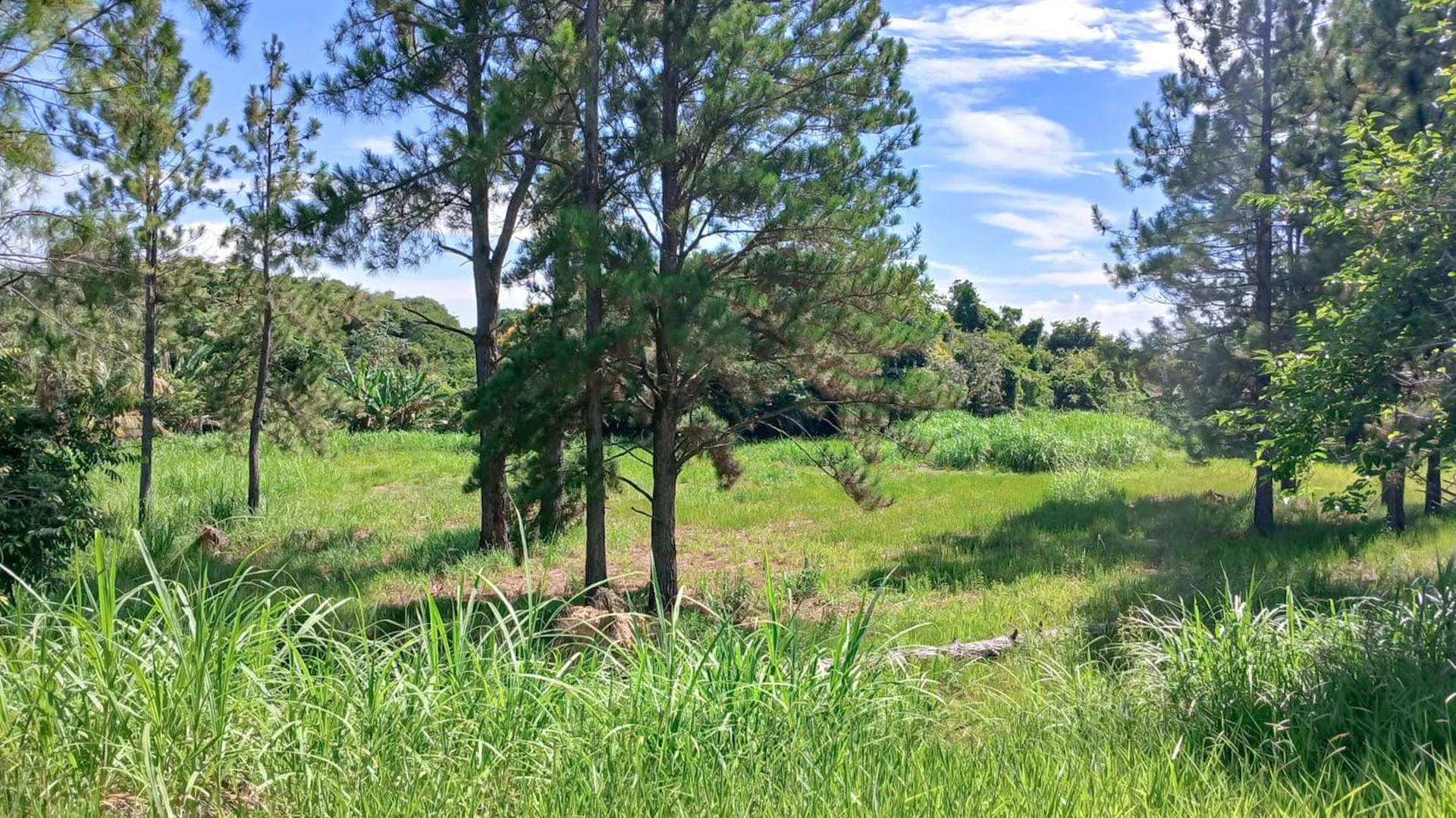 Terreno à venda, 2901 m² por R$ 458.000,00 - Condomínio Chácaras Flórida - Itu/SP