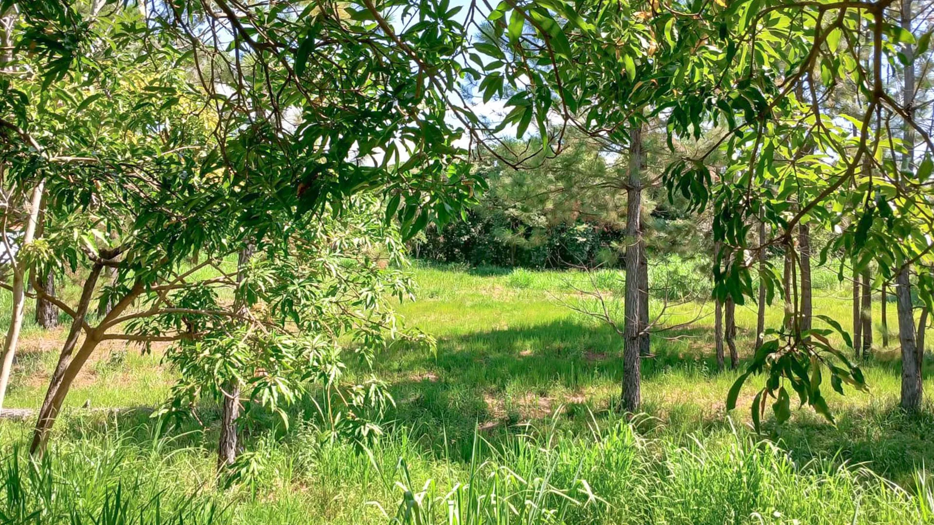 Terreno à venda, 2901 m² por R$ 480.000,00 - Condomínio Chácaras Flórida - Itu/SP