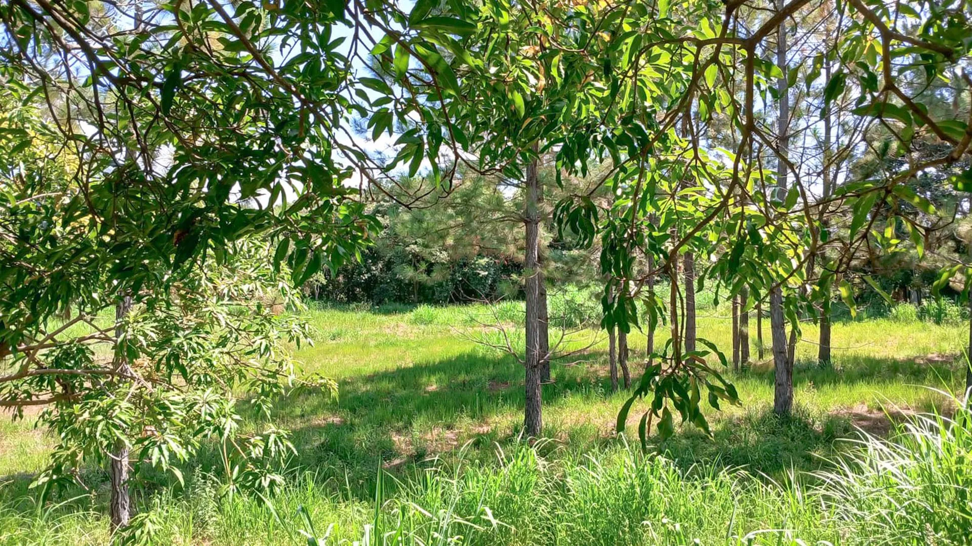 Terreno à venda, 3054 m² por R$ 482.000,00 - Condomínio Chácaras Flórida - Itu/SP