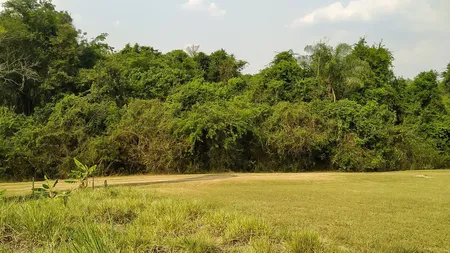 Terreno à venda, 4153 m² por R$ 830.000,00 - Condomínio Moradas São Luiz - Salto/SP