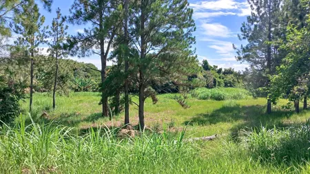 Terreno à venda, 2901 m² por R$ 458.000,00 - Condomínio Chácaras Flórida - Itu/SP