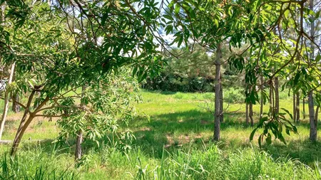 Terreno à venda, 2901 m² por R$ 480.000,00 - Condomínio Chácaras Flórida - Itu/SP