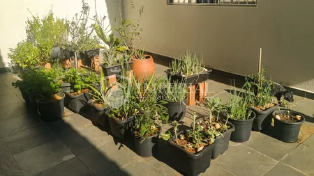 Galeria do imóvel