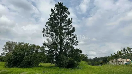 Terreno à venda, 2140 m² por R$ 2.200.000,00 - Condomínio Terras de São José II - Itu/SP