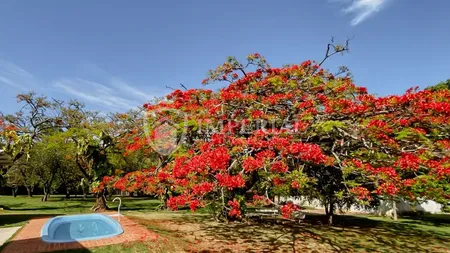 Galeria do imóvel