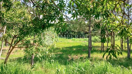 Terreno à venda, 2901 m² por R$ 480.000,00 - Condomínio Chácaras Flórida - Itu/SP