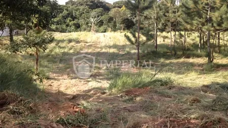 Terreno à venda, 2906 m² por R$ 459.000,00 - Condomínio Chácaras Flórida - Itu/SP